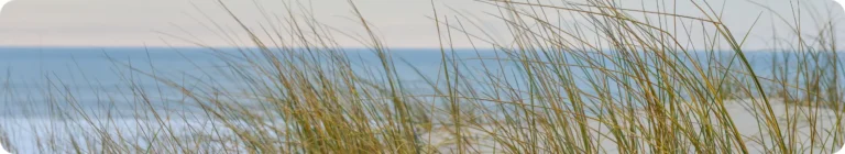 Lire la suite à propos de l’article Les meilleures activités à faire en couple lors d’un séjour à Biscarrosse