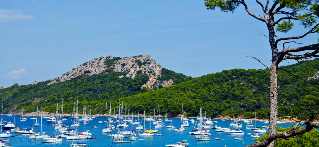Îles Porquerolles dans les îles d'Or