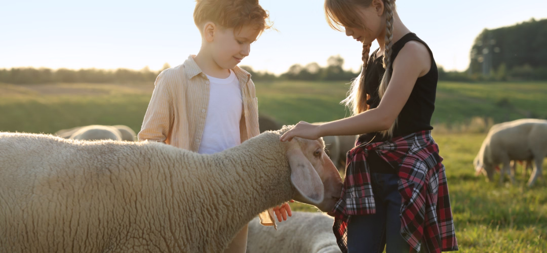Ferme avec des enfants