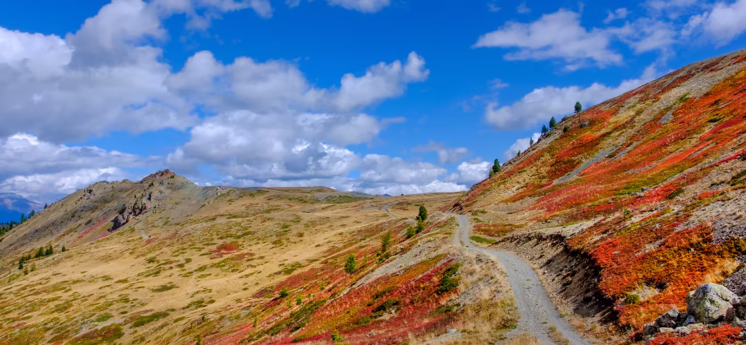 Montagne en été de Montgenèvre