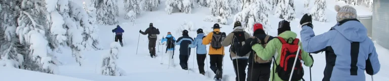 Lire la suite à propos de l’article Les activités au domaine du Grands Massif : Entre chien de traineau et randonnée