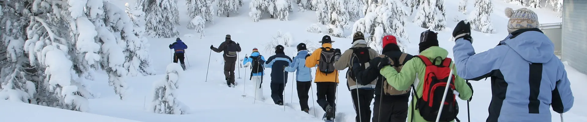Lire la suite à propos de l’article Les activités au domaine du Grands Massif : Entre chien de traineau et randonnée