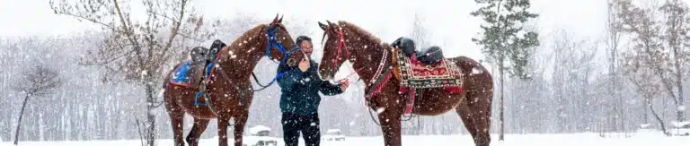 activité hivernales