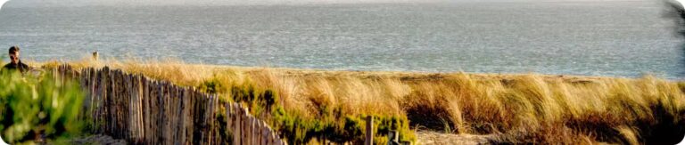 Lire la suite à propos de l’article Les activités à faire à Arès