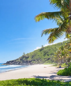 Photo Island of Réunion