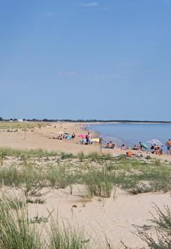 Photo Holidays in La Tranche-sur-Mer