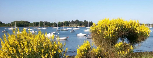 Photo Sail between islands in - Morbihan