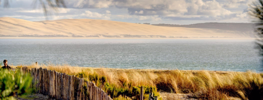 Photo Explore the bay and vineyards in - Gironde
